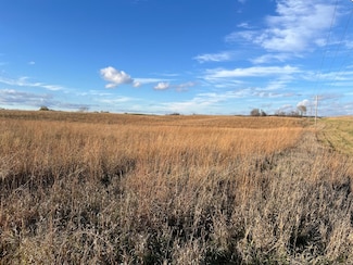 440 90th Ave NE, Benson, MN 56215