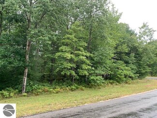 Lot 30 Twin Birch Rd, Kalkaska, MI 49646