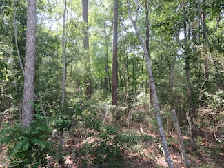 0 Burginville Rd, Buena Vista, GA 31803