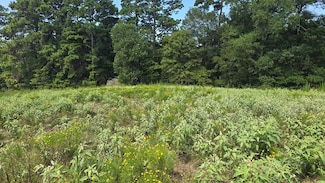Lot 9 County Road 3203, Mount Enterprise, TX 75681