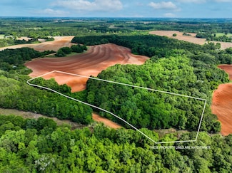 0 Ollie Pouncey Rd, Chancellor, AL 36316