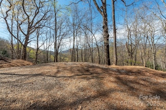 99999 Sunset Dr, Black Mountain, NC 28711