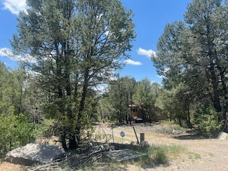17 Michelle Ct, Edgewood, NM 87015