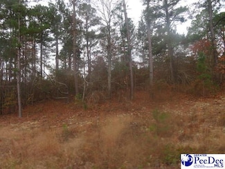 Lots 4&5 Morrison Rd, Hartsville, SC 29550