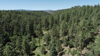 2620/76,2868/92 Crooked Rd, Pagosa Springs, CO 81147