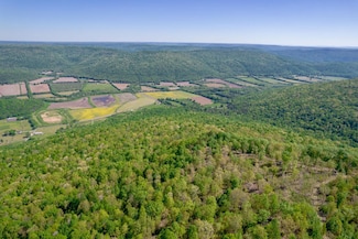 0 County Road 39 Unit 19340549, Fackler, AL 35746