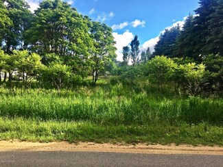 1 E Fountain Rd, Free Soil, MI 49411