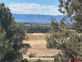 TBD Road V4, Dolores, CO 81323