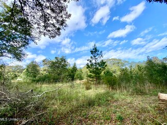 0 Henleyfield McNeil Rd Unit 4097059, Carriere, MS 39426
