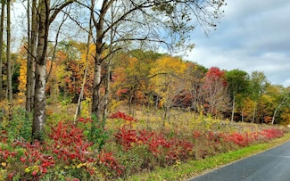 N2527 Carpenter Rd, Mauston, WI 53948