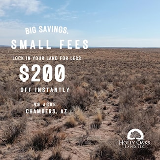 Unnamed Rd, Chambers, AZ 86502