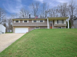 2191 Sherwin Dr, Twinsburg, OH 44087
