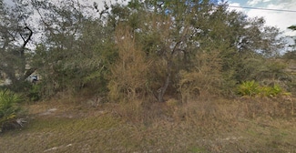 11405 Petrel Ave, Weeki Wachee, FL 34614