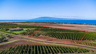 517 Oka Kope St, Kaanapali, HI 96761