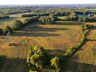 0 County Road 46 Unit 24575590, Mount Hope, AL 35651