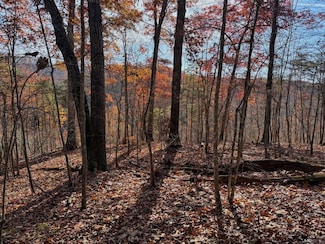 Threemile Creek Rd Lot Unit Wp001, Louisa, KY 41230