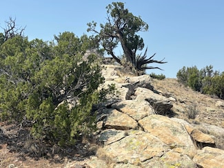 0 Lots 63&64 Abbe Springs Ranch Unit 1087093, Magdalena, NM 87825