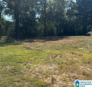 lot 42 County Road 1462, Cullman, AL 35055