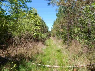 0 Cr 211 Unit 1319632, Carrollton, MS 38917
