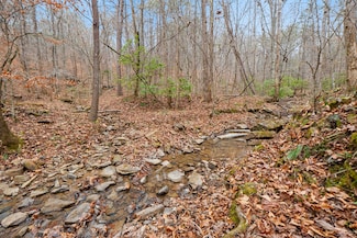 0 Retro Hughes Rd Unit 1525195, Sale Creek, TN 37373