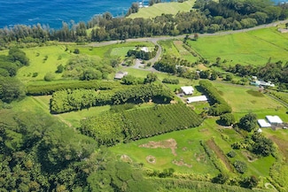 28-1829 Old Mamalahoa Hwy, Honomu, HI 96728