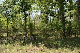 Lot 43 Daniel Boone Ln, Log Cabin, TX 75148