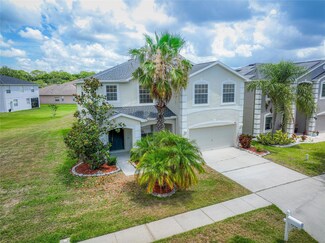 8919 N River Rd, Tampa, FL 33635