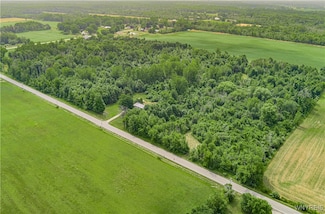 V/L Coleman Rd, Somerset, NY 14012