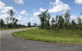 LOT58 82nd St, Live Oak, FL 32060