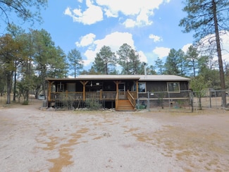 16 Horseshoe Dr, Reserve, NM 87830
