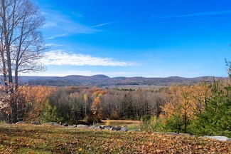 196 Old Ice House Ln, Brandon, VT 05733