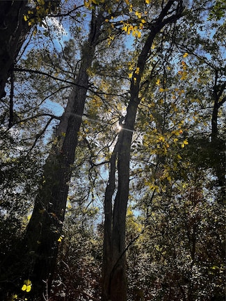 411 Laura Ln, Bastrop, TX 78602