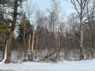 L24.12 Oswegatchie Rd, Palatine Bridge, NY 13428
