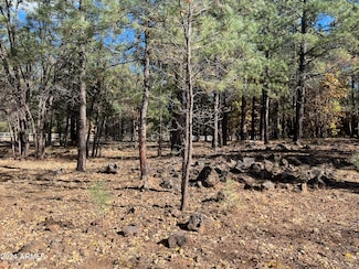 5350 Branding Iron Loop Unit 415, Pinetop, AZ 85935
