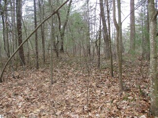 00 W Ausable Point Rd, Oscoda, MI 48750