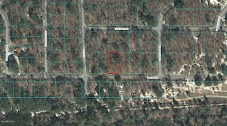 00 Guava Pass, Ocklawaha, FL 32179