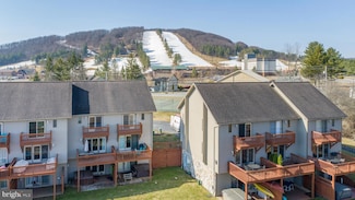 257 Marsh Hill Rd Unit 10, McHenry, MD 21541