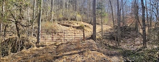 TBD Garrett Creek Rd, Abingdon, VA 24210