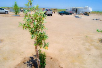 34890 W Sunrise Dr Unit 409, Arlington, AZ 85322