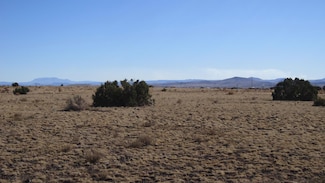 0 Chestnut Ln, Concho, AZ 85924