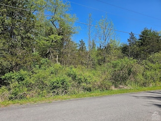 114 Circle Dr, Cairo, NY 12414