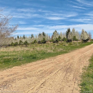 5770 Denhoff Rd, Koylton Township, MI 48741