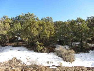 0 S Carson Rd Unit 106361, Carson, NM 87517
