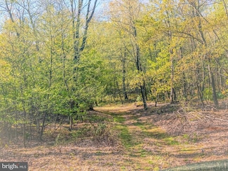 0 LOT #2 Cornman Ln, Tyrone Township, PA 17040