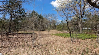 Lot 19 Wingert St, Brethren, MI 49619
