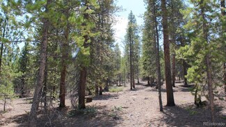 180 Mt Massive Dr, Twin Lakes, CO 81251