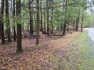 130 Bucktail Hollow Rd, Flinton, PA 16640