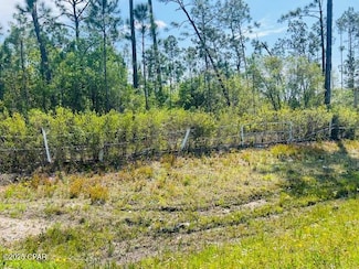 8942 County Road 386, Wewahitchka, FL 32465