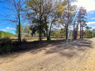 00 County Road 2650, Cleveland, TX 77327