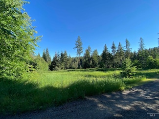 TBD Buckboard Ln, Waha, ID 83501